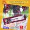 New style sachet 18g organic sweet grapefruit jam manufacturer