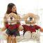cute soft plush teddy bear