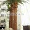 Selling lastest designed outdoor decorative artificial seaweed tree with China factory price