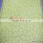 Polyester Fabric Lastest Special Embroidery Designs China Supplier