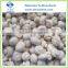Frozen Button Mushroom Whole and Slices