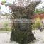 High Simulation Adventure Park Life Size Artificial Talking Tree