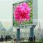 high quality new images hd p10 led light window display