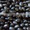 we are supplying all kinds of black beans for sale
