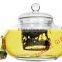 Heat Resistant Borosilicate Glass Tea Pot With Infuser