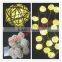 LED string light for Christmas like sepa takraw led string lights