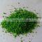 Emulsion Tree Powder Architectural Model Material C
