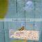 wholesale acrylic wild bird seed feeders