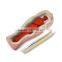 Archaeology Dig and Discover kit toy of Egyptian Excavation Mummy Tomb dig kit