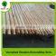 painted best quality wood broom stick best selling made in china