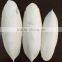 hai piao xiao cuttlebone dried cuttlefish bone