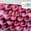 Sweet juicy fresh red delicious apple huaniu apple by wholesale juicy fresh