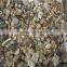 fresh straw mushroom fresh straw mushroom canned straw mushroom