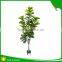 Incredibly Realistic Artificial Rubber Ficus Plant Tree for Home and House