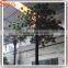 New products by shipping artificial pine tree branches pine tree japanese tree