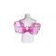 Rose red ladybug shape popular fairy wing for little girls