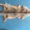 High quality real coyote fur wholesale natural coyote fur