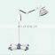 Infrared TDP Lamp mineral heat lamp  vertical type