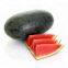 Early maturity red flesh hybrid f1 watermelon seeds