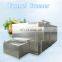 Industrial tunnel type high quality liquid nitrogen freezer fruit IQF freezing machine