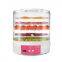 5 layer Mini commercial small scale pineapple tomato potato mango vegetable fruit electric food dehydrator price