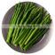 pollution-free food frozen asparagus IQF factory hot selling fitness equipment with fresh quality