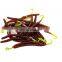 Amazon High Quality 3 Colors Salt and Fishy Smell Hollow Fishing Biats  15cm 5g Soft Senko Fishing Lures