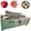 China Cheap Price Plum Apple Peach Plum Quince Apricot Date Pitter