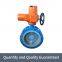 DN100 flanged stainless steel disc valve