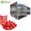 Vakuum-gefriergetrocknete Lebensmittel, Drachenfrucht-Honigpulver, Instantkaffee, Duriang, Erdbeeren, Himbeeren, Blumen, Rosen, Gemüse, Maschine