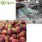 GYC litchi lichi lichee leechee lychee nucleus stone remover removing machine