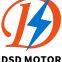Shenzhen Dongshunda Motor Co.,Ttd