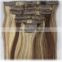 European 100% remy clip in hair sample welcomed