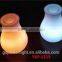 LED Lights Lightings With Remote Control Model No.:L029