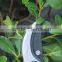 Hot sell carbon steel pvc handle flower garden scissors