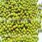 High quality and cheap mung beans price