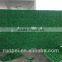 Fencing,Trellis&Gates Type and Nature Pressure Treated Wood Type boxwood hedge