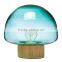 Color Glass Mushroom Table Light for indoor House Lighting