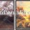 Existing 3D Lenticular decoration picture for sale