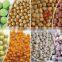 Peanut sugar coating machine on sale