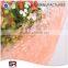 white color poland market sunflower net