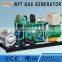 ISO CE approved 10-500kW biogas power generation plants