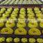 OMEGA commercial automatic cake/cookie depositors
