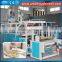 LLDPE 2 Layer Automatic Extruder for Film Cast Machine for Food Cling Film Plastic Wrap