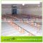 LEON adjustable leg plastic chicken floor for poultry farm