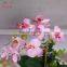 2016 Zhejiang Factory wholesale home decoration hot sale artificial plant orchid artificial flower