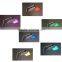 Vertical 7 in 1 Bio-light therapy beauty machine