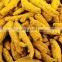 Best quality Bold Turmeric finger exporter
