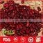 Hot sale red kidney beans with great quality and price
