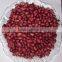 Chinese Red Kidney Bean With Wholesale Price